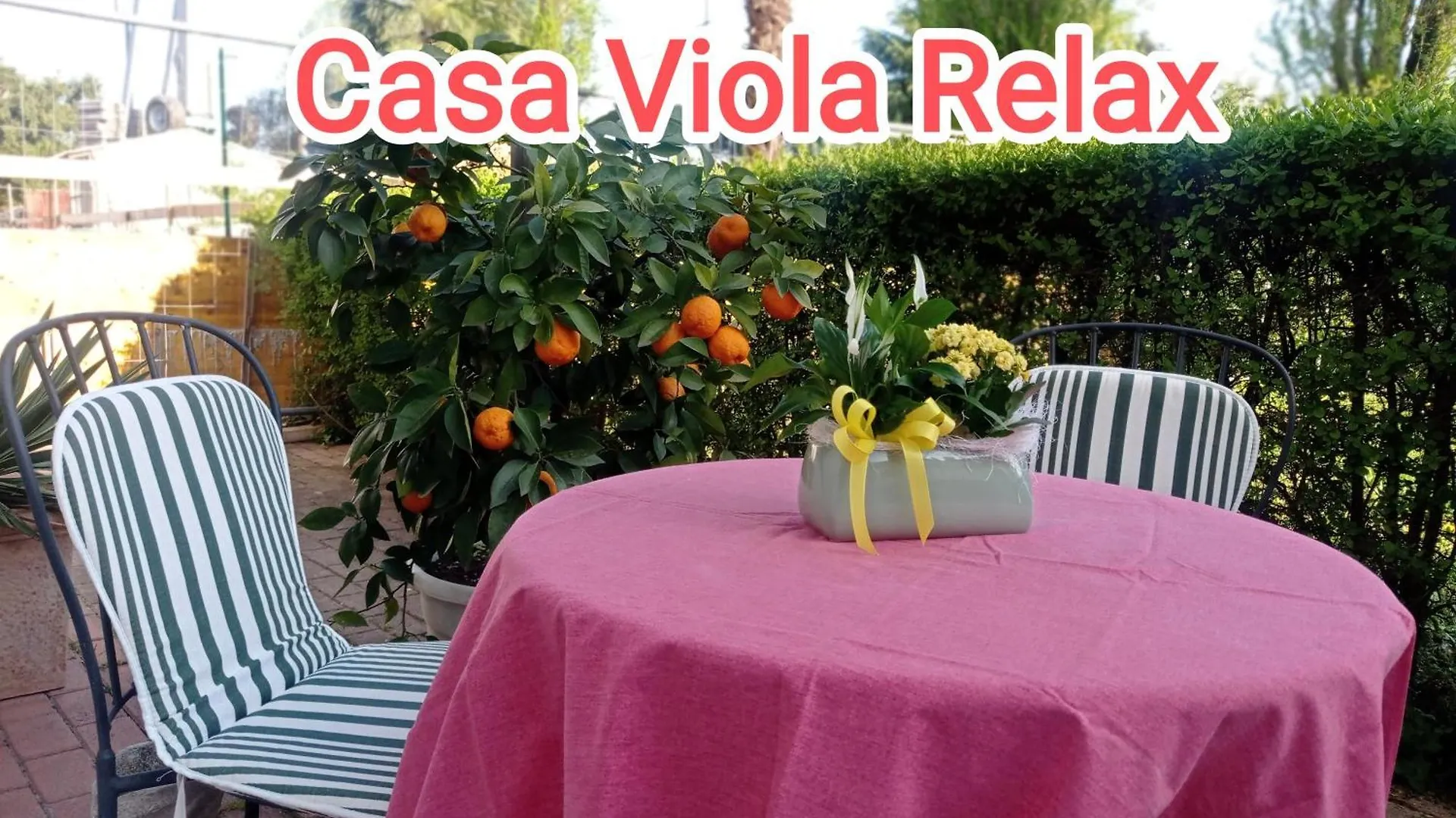 Apartmán Casa Viola Vicenza Park Free Itálie