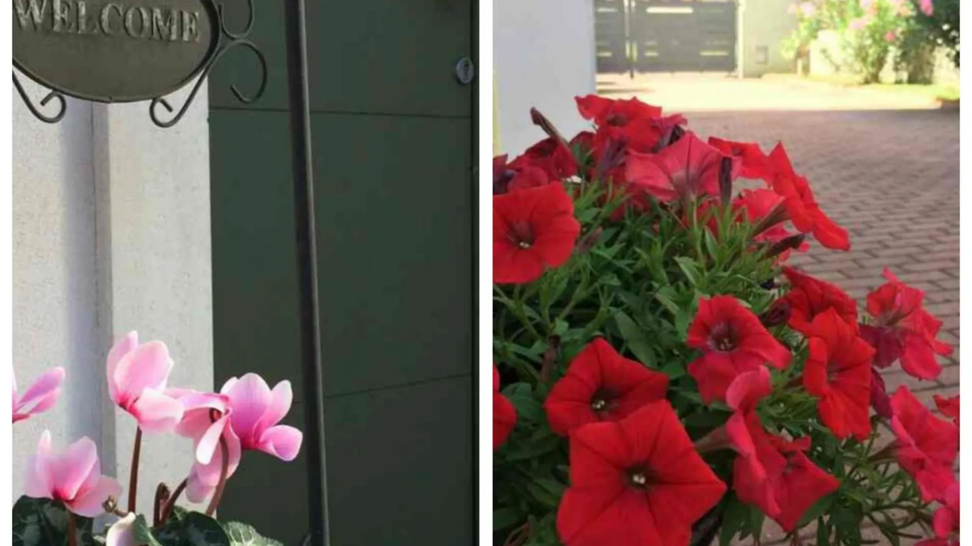 Apartmán Casa Viola Vicenza Park Free