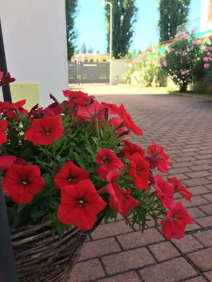 Casa Viola Vicenza Park Free Apartment